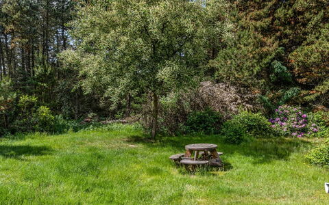 Jul - 900M from the Sea: Arbre, Herbe, Vert, Feuille, Végétation, Arbuste, Jardin, Communauté Des Plantes, Prairie, Lot Terre