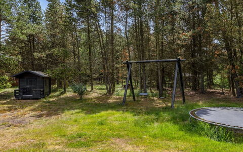 Jul - 900M from the Sea: Arbre, Herbe, Lot Terre, Tronc, Des Bois, Bosquet, Forêt, Ombre, Jardin, Parc