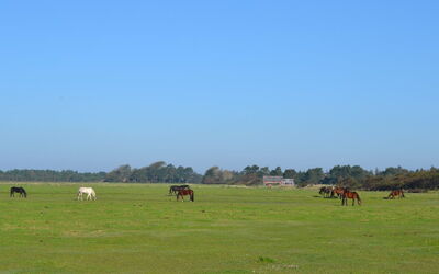 Lin - 2.9Km from the Sea