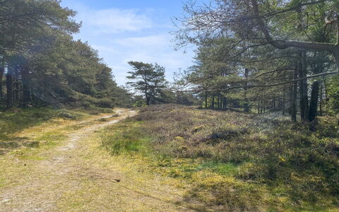 Mikaela - 1Km from the Sea: Herbe, Maison, Toit, Domicile, Chalet, Arbuste, Lot Terre, Zone Rurale, Ferme, Couverture De Sol
