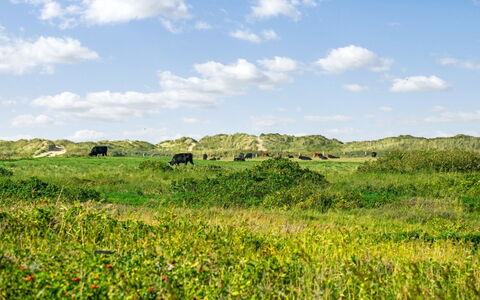 Mortensen - 350M from the Sea: Chalet, Cabanon, Cabane, Ferme, Prairie, Cabane, Grange, Cabane En Rondins, Batiments Jardin