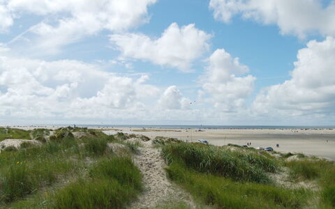 Kalf - 400M from the Sea: Herbe, Maison, Toit, Domicile, Chalet, Arbuste, Lot Terre, Zone Rurale, Ferme, Couverture De Sol