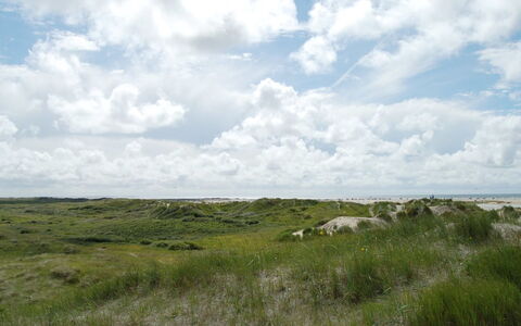 Kalf - 400M from the Sea: Herbe, Maison, Toit, Domicile, Chalet, Arbuste, Lot Terre, Zone Rurale, Ferme, Couverture De Sol
