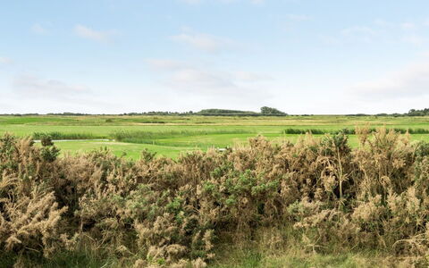 Hugo - 2.5Km from the Sea: Toit, Maison, Domicile, Chalet, Porte, Siding, Biens, Pelouse, Cour, Porche