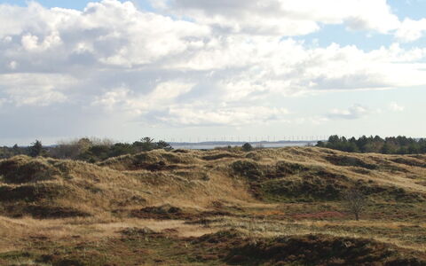 Inga - 1.3Km from the Sea: Ciel, Bleu, Nuage, Végétation, Prairie, Écorégion, Horizon, Communauté Des Plantes, Marron, Région Sauvage