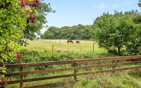 Botulf - 3.8Km from the Sea: Chalet, Domicile, Maison, Toit, Porche, Biens, Siding, Batiments Jardin, Ferme, Cour