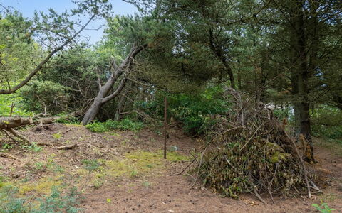 Magga - 3.2Km from the Sea: Maison, Domicile, Toit, Chalet, Arbuste, Siding, Porte, Jardin, Ferme