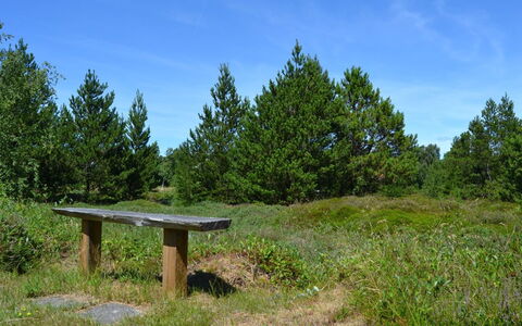 Redward - 1Km from the Sea: Herbe, Vert, Feuille, Environnement Naturel, La Nature, Végétation, Prairie, Arbuste, Communauté Des Plantes, Écorégion