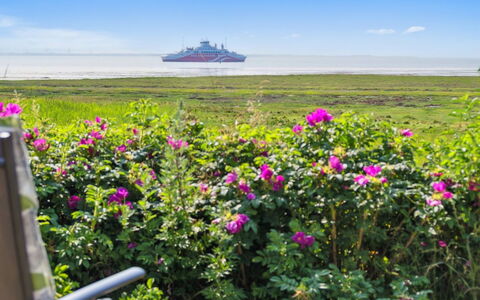 Langsom - 100M from the Sea: Fleur, Ciel, Horizon, Nuage, Rose, Mer, Pétale, Cotiers Et Relief Océaniques, Océan, Plante À Fleurs