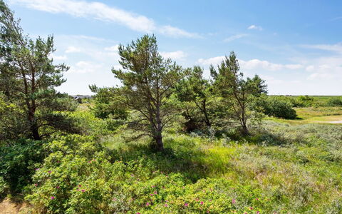 Athalia - 2.4Km from the Sea: Bâtiment, Maison, Fenêtre, Domicile, Toit, Zone Résidentielle, Arbuste, Chalet, Lot Terre