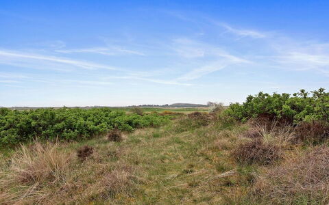 Reija - 2.3Km from the Sea: Ciel, Bleu, Herbe, Vert, Environnement Naturel, Prairie, Végétation, Écorégion, Paysage Naturel, Communauté Des Plantes