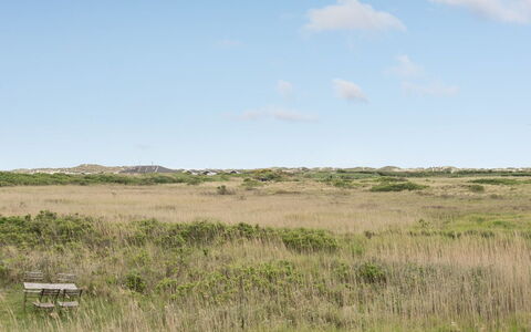 Sybilla - 700M from the Sea: Ciel, Herbe, Prairie, Environnement Naturel, Écorégion, Végétation, Plaine, Pâturage, Prairie, Steppe