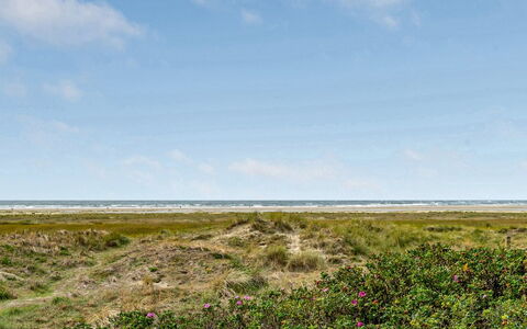 Iliane - 100M from the Sea: Maison, Toit, Domicile, Chalet, Biens, Ferme, Villa, Porche, Siding