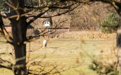 Tine - 2.3Km from the Sea