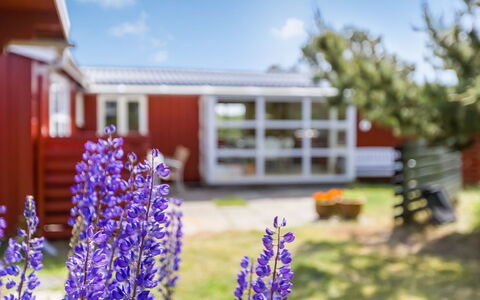 Winald - 500M from the Sea: Herbe, Maison, Toit, Domicile, Chalet, Arbuste, Lot Terre, Zone Rurale, Ferme, Couverture De Sol