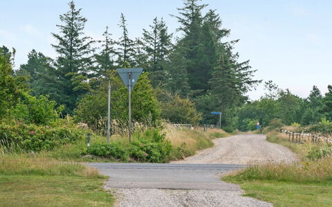 Gwen - 2.7Km from the Sea: Ciel, Arbre, Herbe, Feuille, Route, Surface De La Route, Végétation, Paysage Naturel, Arbuste