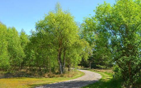 Gwen - 2.7Km from the Sea: Feuille, Arbre, Vert, Herbe, La Nature, Branche, Environnement Naturel, Végétation, Paysage Naturel