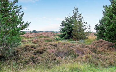 Dorti - 3Km from the Sea