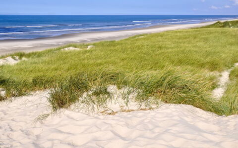 Elsa - 700M from the Sea: Maison, Toit, Domicile, Chalet, Biens, Ferme, Villa, Porche, Siding