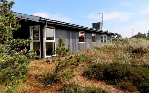 Elsa - 700M from the Sea