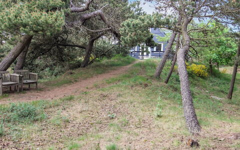 Kanutte - 400M from the Sea: Branche, Végétation, Communauté Des Plantes, Lot Terre, Tronc, Suppression Des Plantes Ligneuses, Sol, Piste, Formations Arbustives