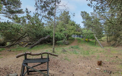 Kanutte - 400M from the Sea: Arbre, Bois, Communauté Des Plantes, Tronc, Sol, Suppression Des Plantes Ligneuses, Des Bois, Piste