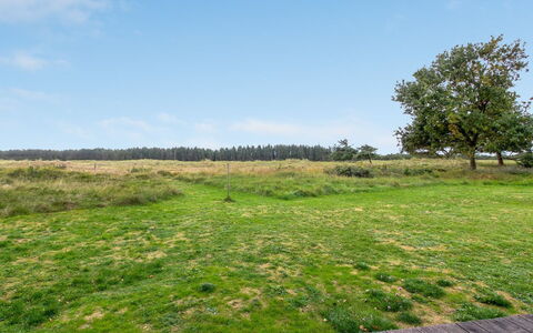 Tuulikki - 1.6Km from the Sea: Herbe, Arbuste, Maison, Jardin, Domicile, Chalet, Lot Terre, Pelouse, Couverture De Sol
