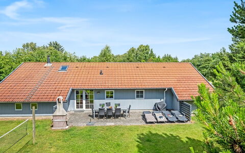 Gunvald - 2Km to the Fjord: Communauté Des Plantes, Lumière Du Soleil, Plante Herbacée, Jardin, Plantation, Agriculture, Ferme