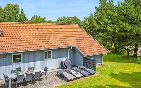 Gunvald - 2Km to the Fjord: Communauté Des Plantes, Lumière Du Soleil, Plante Herbacée, Jardin, Plantation, Agriculture, Ferme