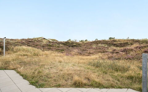 Tennie - 300M from the Sea: Herbe, Écorégion, Prairie, Communauté Des Plantes, Marron, Lot Terre, Formations Arbustives, Steppe, Prairie, Chaparral