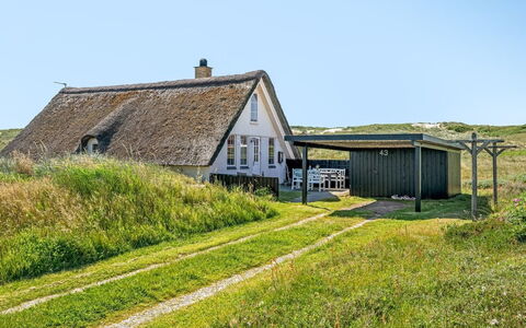 Klimentina - 150M from the Sea: Communauté Des Plantes, Lumière Du Soleil, Plante Herbacée, Jardin, Plantation, Agriculture, Ferme