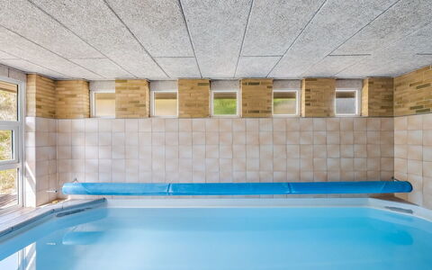 Ewy - 300M from the Sea: Communauté Des Plantes, Lumière Du Soleil, Plante Herbacée, Jardin, Plantation, Agriculture, Ferme