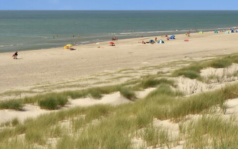 Holte - 700M to the Fjord: Environnement Naturel, Plage, Côte, Le Sable, Écorégion, Été, Mer, Rive, Cotiers Et Relief Océaniques, Océan