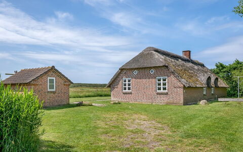 Vangja - 700M to the Fjord: Herbe, Maison, Toit, Domicile, Chalet, Arbuste, Lot Terre, Zone Rurale, Ferme, Couverture De Sol
