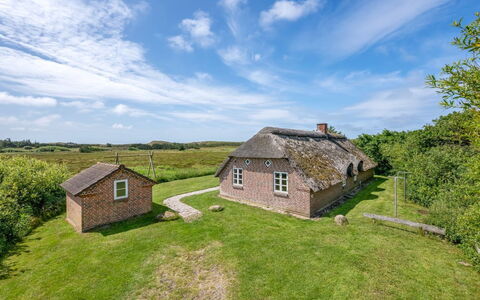 Vangja - 700M to the Fjord: Herbe, Maison, Toit, Domicile, Chalet, Arbuste, Lot Terre, Zone Rurale, Ferme, Couverture De Sol
