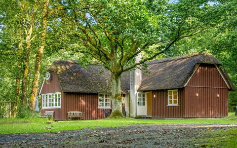 Fina - 15Km from the Sea: Chalet, Domicile, Maison, Toit, Porche, Biens, Siding, Batiments Jardin, Ferme, Cour