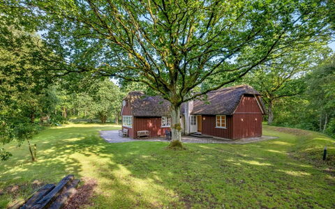 Fina - 15Km from the Sea: Chalet, Domicile, Maison, Toit, Porche, Biens, Siding, Batiments Jardin, Ferme, Cour