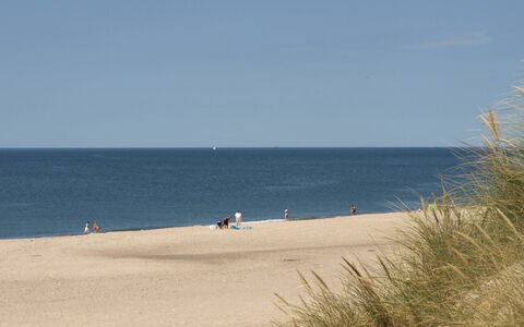 Cristine - 400M from the Sea: Bleu, Plan D'Eau, Plage, Côte, Horizon, Mer, Cotiers Et Relief Océaniques, Rive, Le Sable, Océan