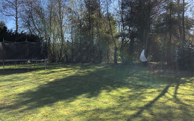 Harald - 300M from the Sea