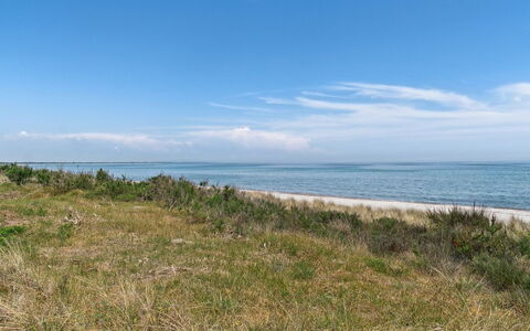 Auke - 100M from the Sea: Chalet, Jardin, Siding, Batiments Jardin, Ombre, Cour, Arrière-Cour, Pelouse, Ferme, Aménagement Paysager