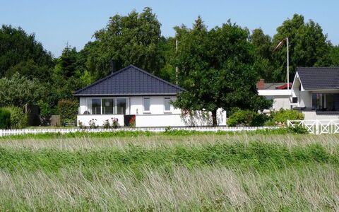 Mayla - 50M from the Sea: Communauté Des Plantes, Lumière Du Soleil, Plante Herbacée, Jardin, Plantation, Agriculture, Ferme