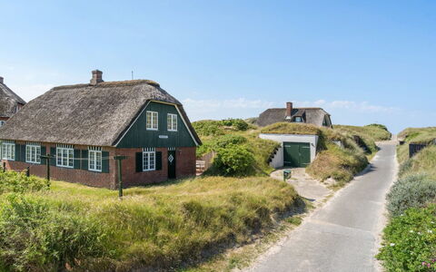 Mattias - 100M from the Sea: Herbe, Prairie, Paysage, Écorégion, Plaine, Communauté Des Plantes, Lot Terre, Mobilier De Jardin, Prairie, Formations Arbustives