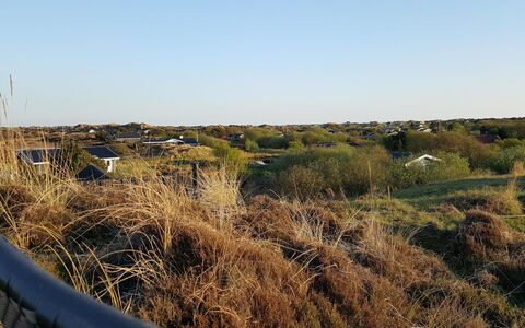 Gudrid - 500M from the Sea: Ciel, Bleu, Végétation, Écorégion, Communauté Des Plantes, Prairie, Formations Arbustives, Lumière Du Soleil, Prairie
