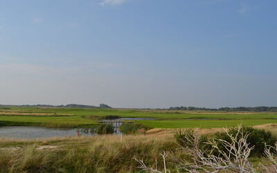 Akim - 2Km from the Sea