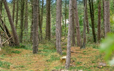 Santuzza - 3.9Km from the Sea: Herbe, Maison, Toit, Domicile, Chalet, Arbuste, Lot Terre, Zone Rurale, Ferme, Couverture De Sol