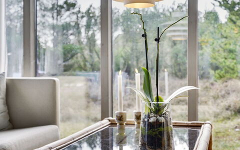 Saxi - 2.6Km from the Sea: Meubles, Design Intérieur, Chaise, Sol, Table, Recours, Sol, Plafond, Pièce, Eco Hôtel