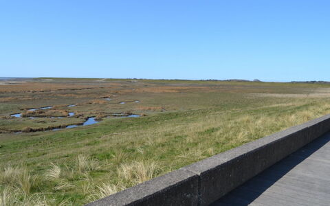 Leto - 2Km from the Sea: Biens, Ferme
