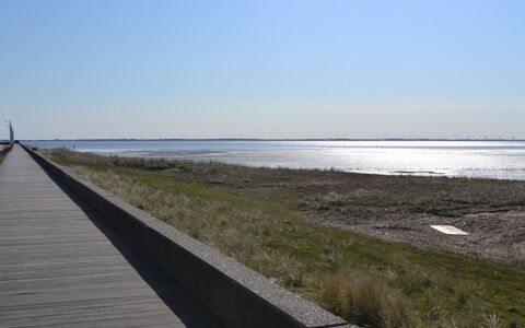 Leto - 2Km from the Sea: Biens, Ferme