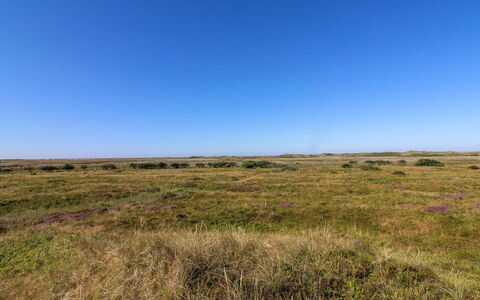 Alim - 300M from the Sea: Biens, Ferme