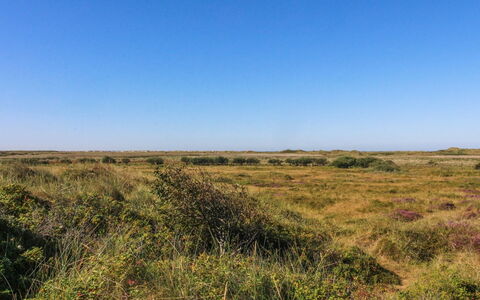 Alim - 300M from the Sea: Biens, Ferme